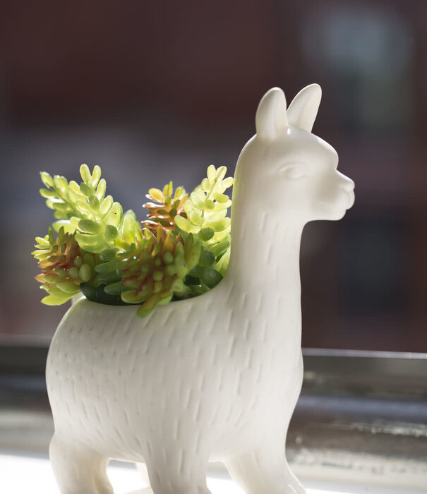 Kikkerland flower pot - llama