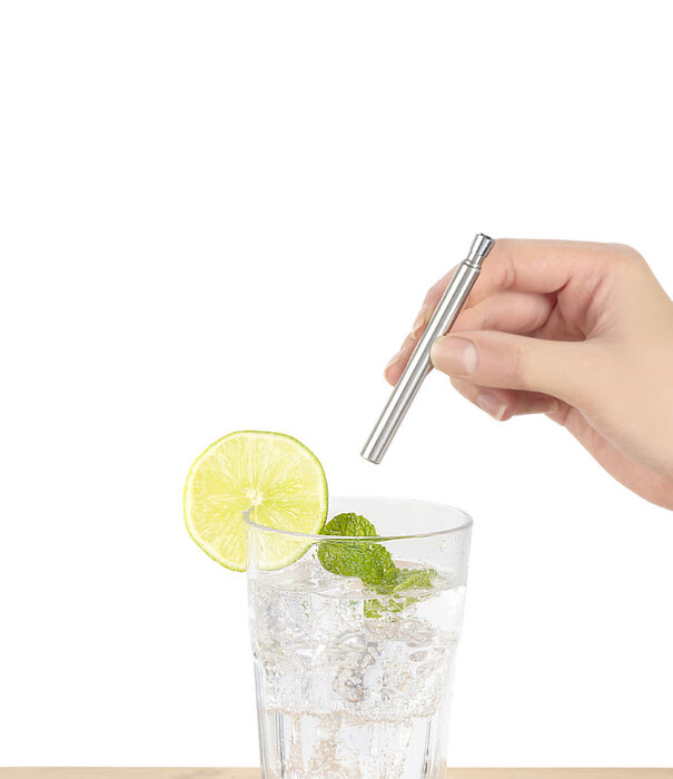 Kikkerland reusable straw - travel (silver)