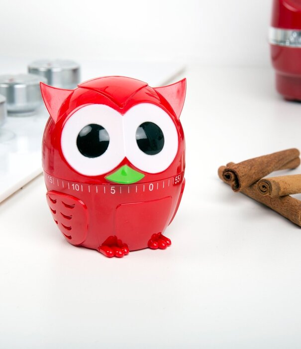 Kikkerland kitchen timer - owlet