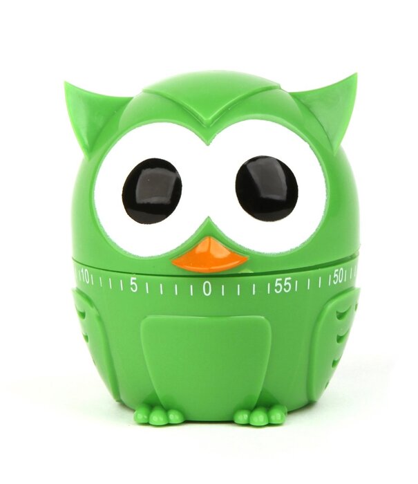 Kikkerland kitchen timer - owlet