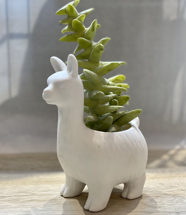 Kikkerland flower pot - llama