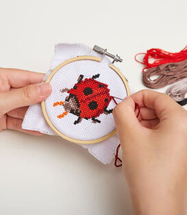 mini embroidery kit - ladybug