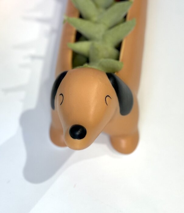 Kikkerland planter - Daisy the dachshund