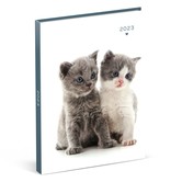 diary - 2023 - 2 kittens