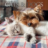 calendar 2023  - cats & dogs