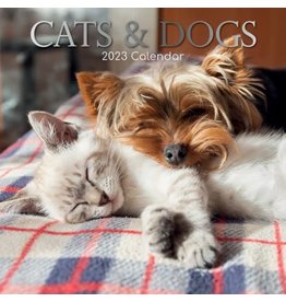 Jelly Jazz calendar 2023  - cats & dogs
