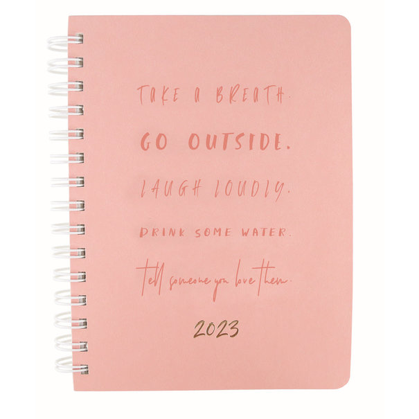 Jelly Jazz diary - 2022/23 - 18 mths - manifesto