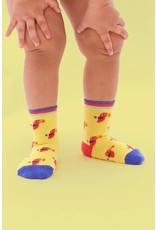 Jelly Jazz sokken - papegaai (12-24 maanden)