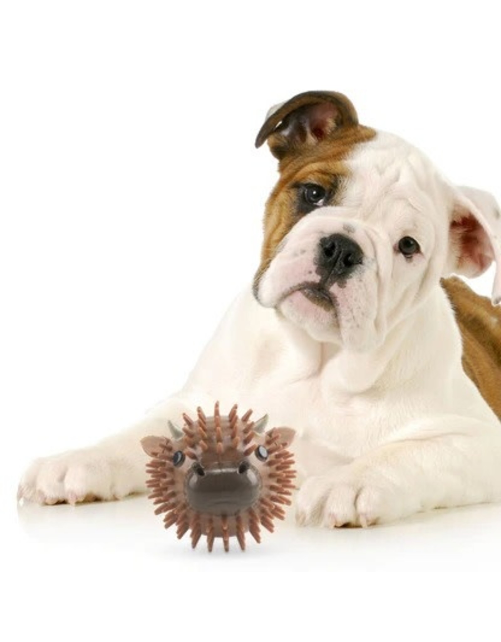 Why Do Dogs Like Squeaky Balls