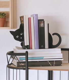 bookend - cat hidden