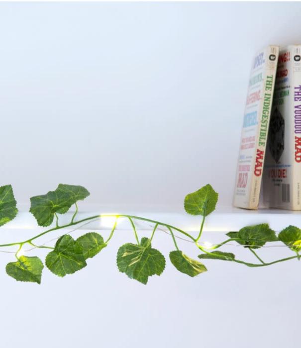 Kikkerland green string lights - ivy