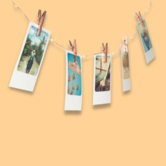 light string - photo clips (copper)