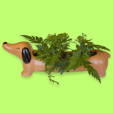 planter - Daisy the dachshund