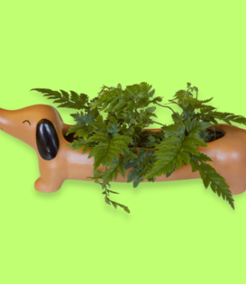 planter - Daisy the dachshund