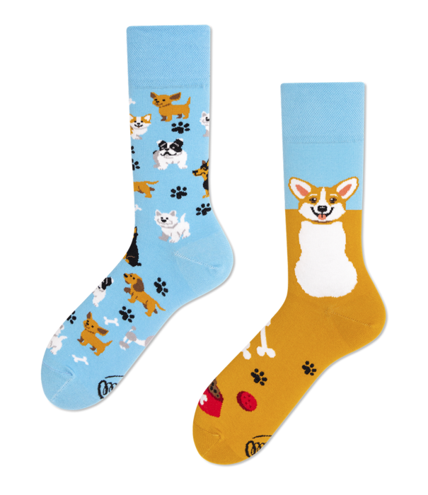 Many Mornings socks - playful dog (43-46)