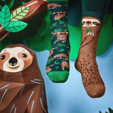 socks - sloth (43-46)