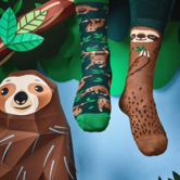 socks - sloth (39-42)