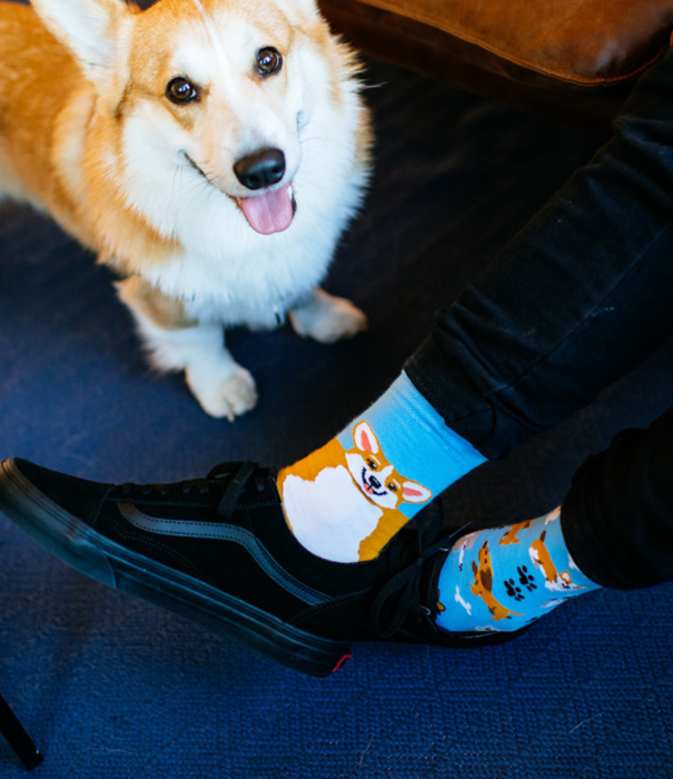 Many Mornings socks - playful dog (35-38)