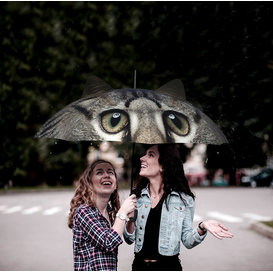 umbrella - cat