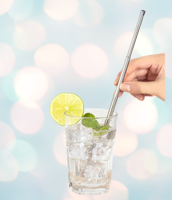 Kikkerland reusable straw - travel (silver)