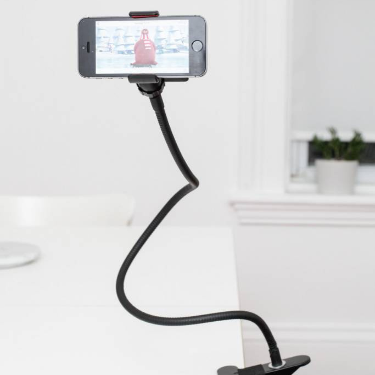 gooseneck phone holder JELLY JAZZ JELLY JAZZ
