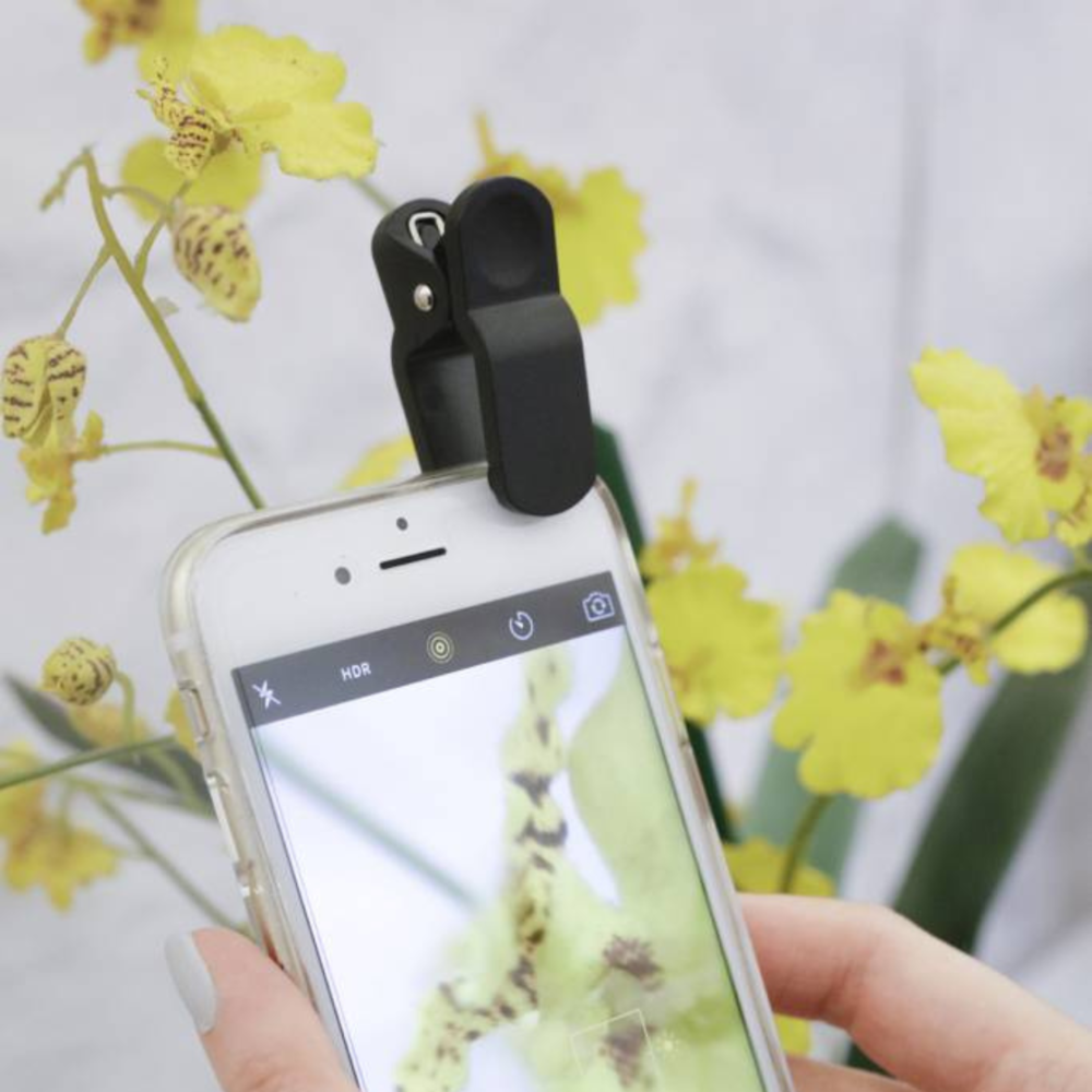 clip lens set voor gsm JELLY JAZZ JELLY JAZZ