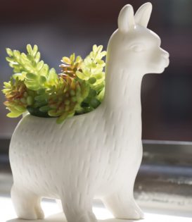 planter - llama