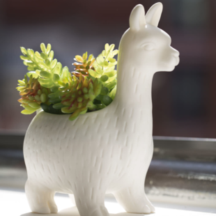 planter - llama