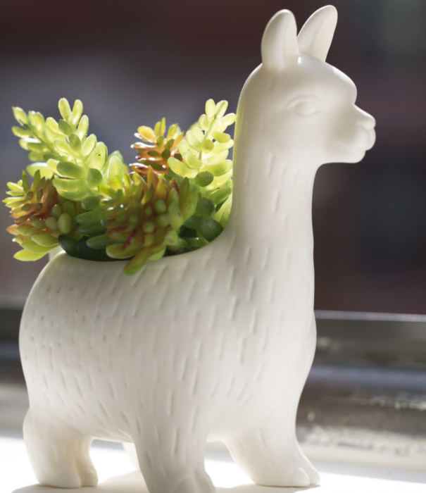 Kikkerland flower pot - llama