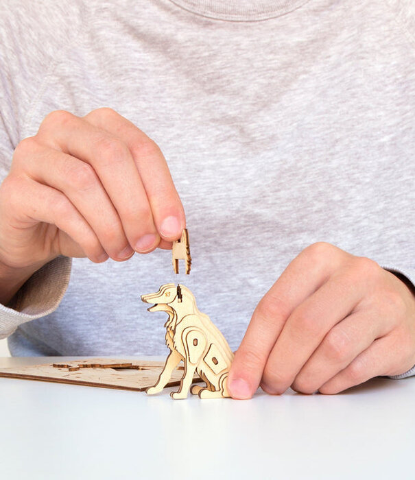 Kikkerland 3D wooden puzzle shaped like a dog