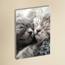 agenda 2024 - grijze kittens