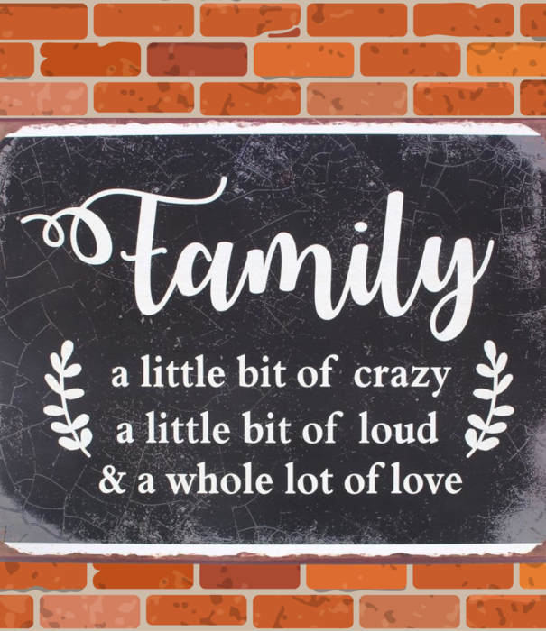 Jelly Jazz metal sign - family a little bit of crazy