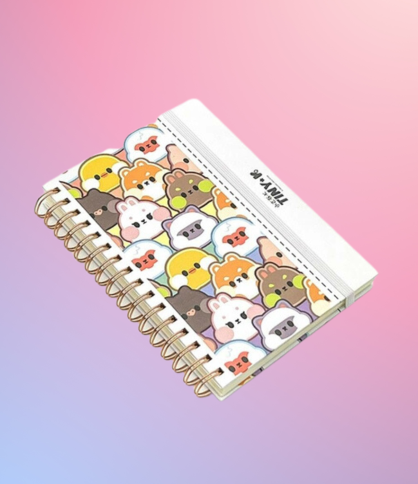 Kenji notebook - Tiny-K Multi