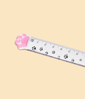 ruler - kitty