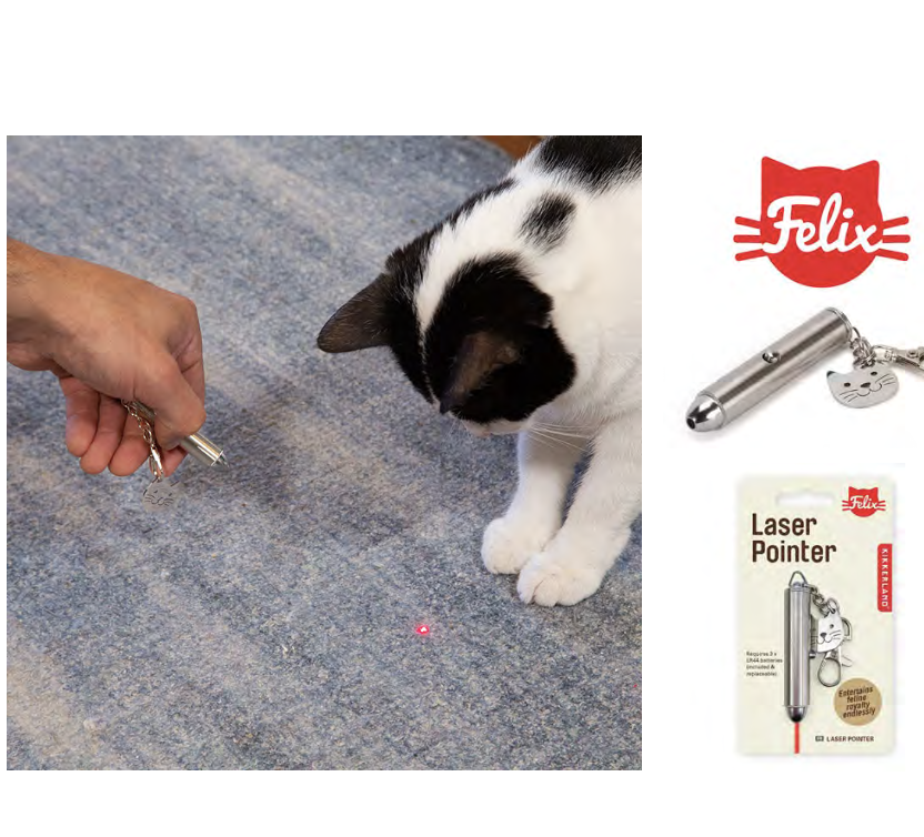 Catit - Laser Mouse Toy for Cats – Des Moines IA, West Des Moines IA,  Urbandale IA