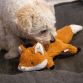 dog toy - flying fox