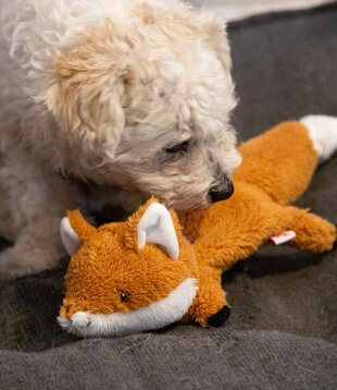 dog toy - fox