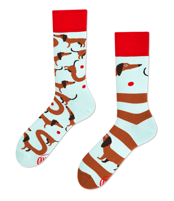 Many Mornings socks - sausage dog (43-46)