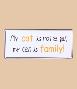 bord - my cat is family