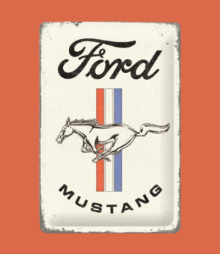 bord - 20x30 - Ford mustang