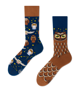 socks - owly moly (39-42)