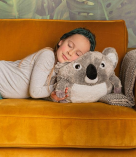 cuddle pillow - koala