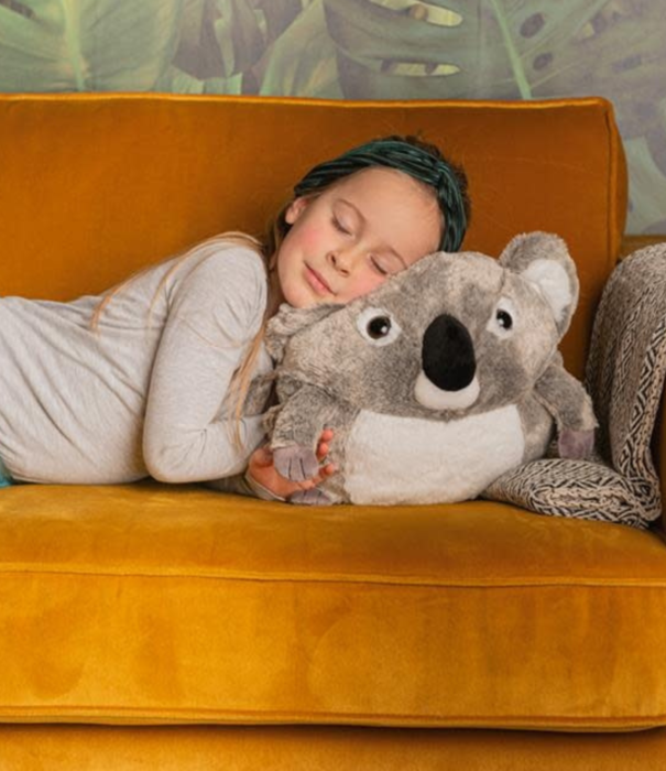 Warmies cuddle pillow - koala