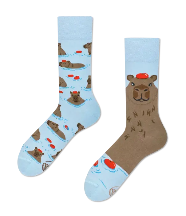 Many Mornings socks - capybara (35-38)