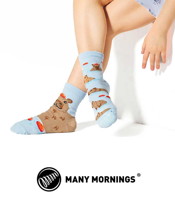 Many Mornings socks - capybara (43-46)