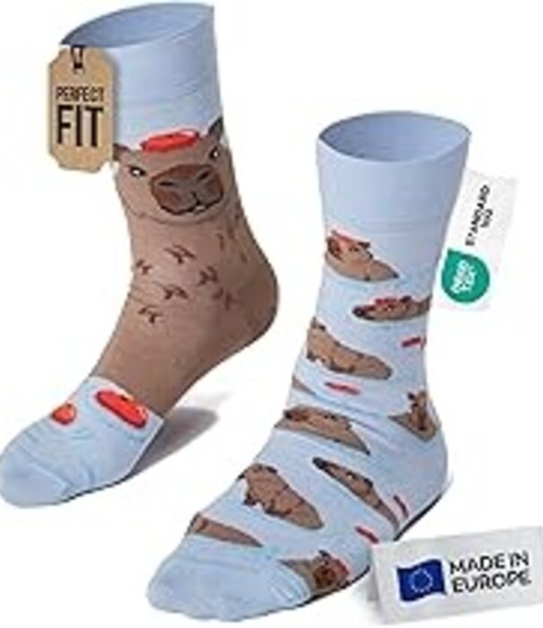 Many Mornings socks - capybara (43-46)