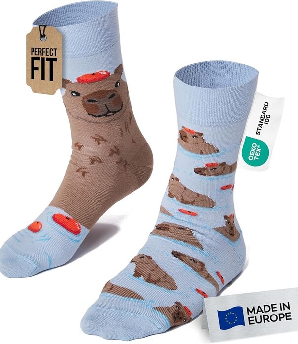 Many Mornings socks - capybara (39-42)