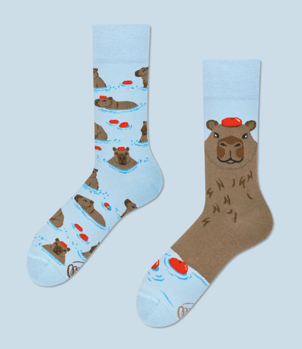 Many Mornings socks - capybara (39-42)