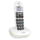 Doro PhoneEasy dect enkel