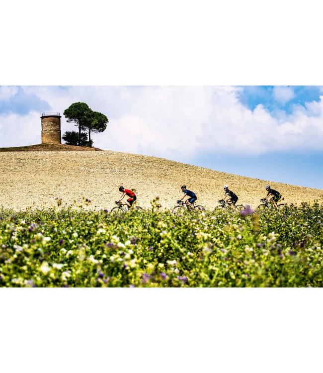 Rogelli Rogelli Tyro Wielerbroek Zwart/Rood